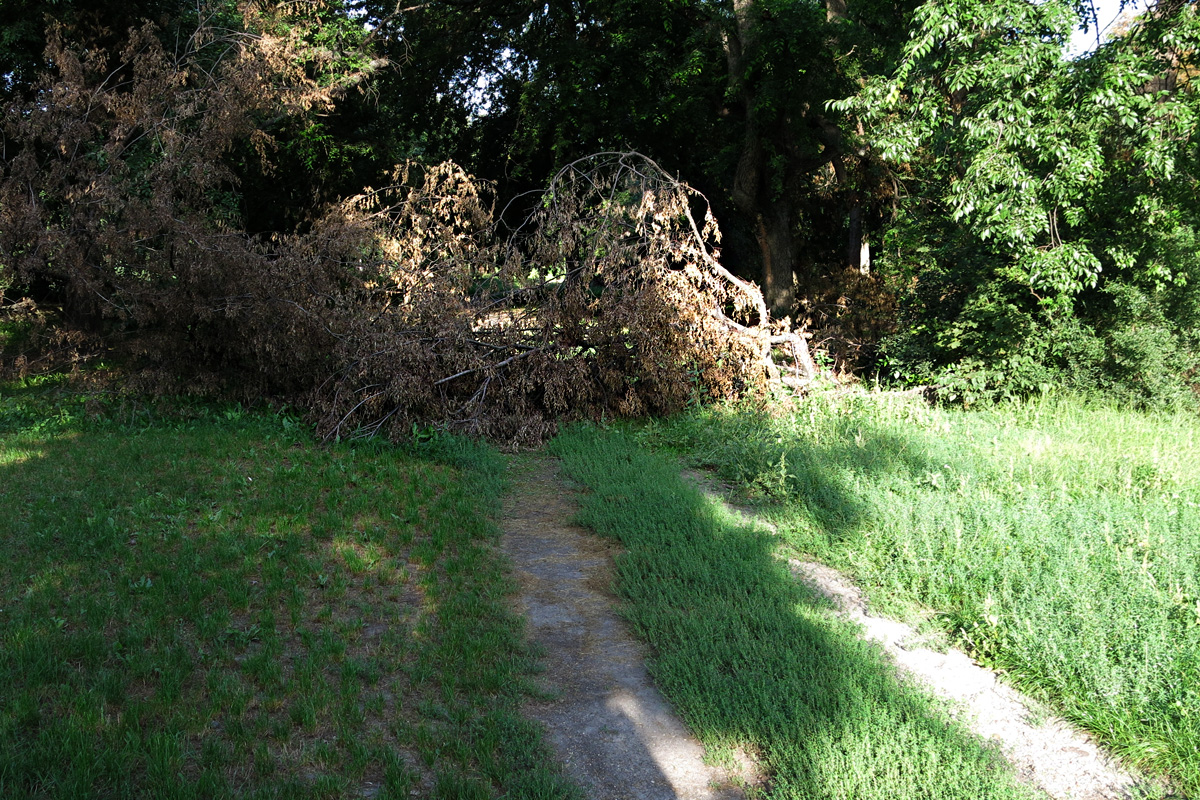 Illustration for article titled Berreg a láncfűrész! Hullik a forgács!