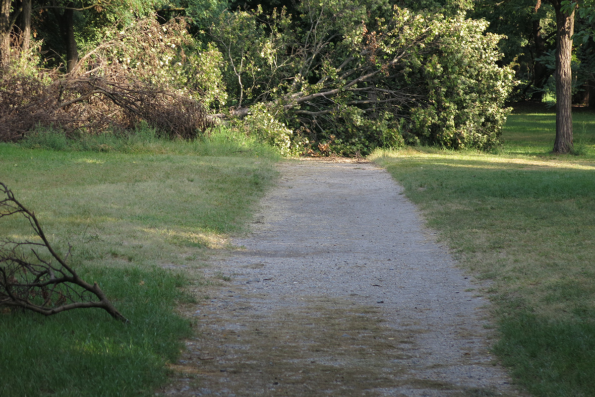 Illustration for article titled Berreg a láncfűrész! Hullik a forgács!