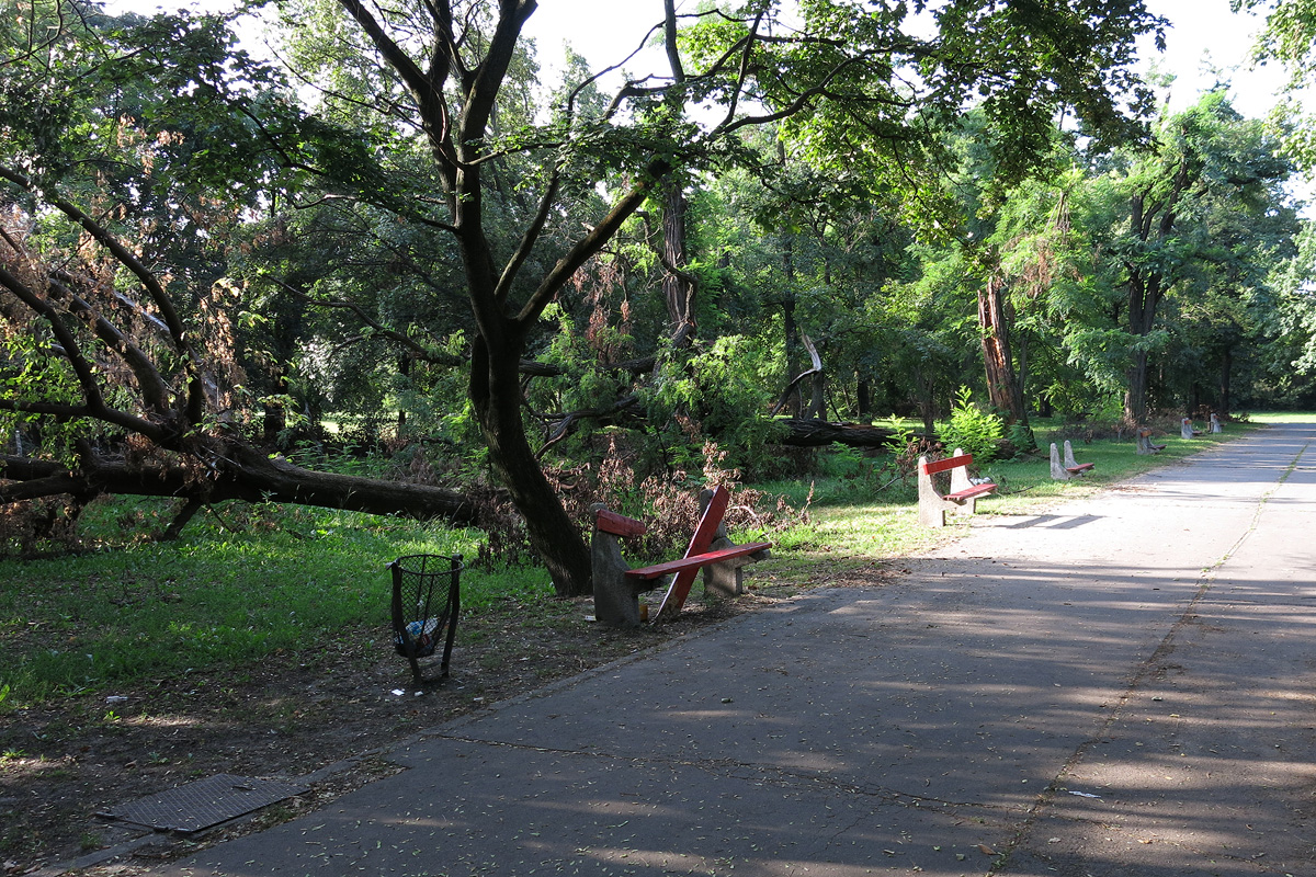 Illustration for article titled Berreg a láncfűrész! Hullik a forgács!