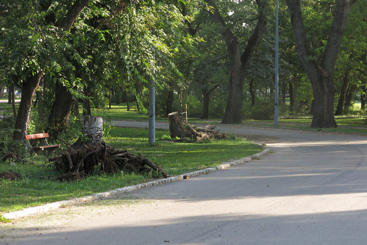 Illustration for article titled Berreg a láncfűrész! Hullik a forgács!