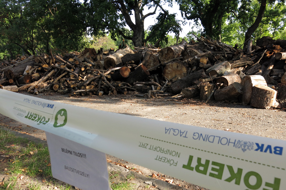 Illustration for article titled Berreg a láncfűrész! Hullik a forgács!