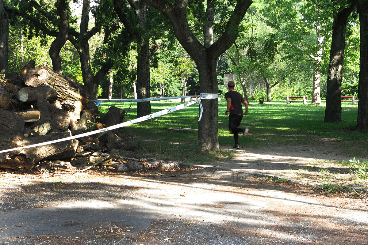 Illustration for article titled Berreg a láncfűrész! Hullik a forgács!
