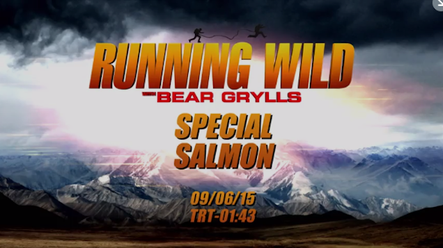 Illustration for article titled Obama elnök lazacdögöt evett Bear Gryllsszel