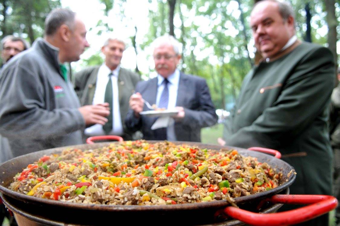 Illustration for article titled Obama elnök lazacdögöt evett Bear Gryllsszel