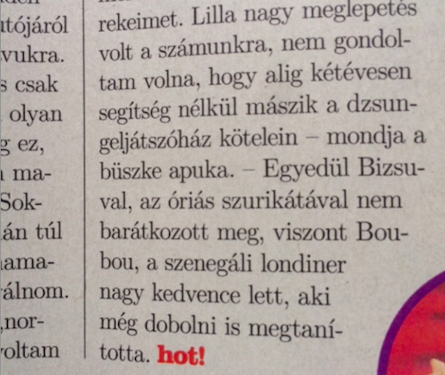 Illustration for article titled A nap fehér ültetvényese Győrfi Pál