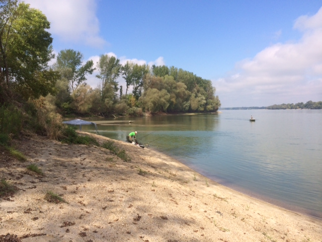 Illustration for article titled Még a pultos is rock and roll-sztár volt a Cink kommentelőinek buliján