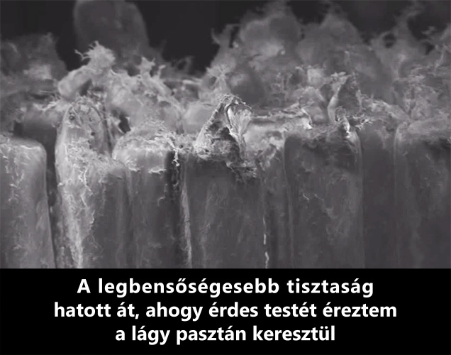 Illustration for article titled Mostál ma már fogat?