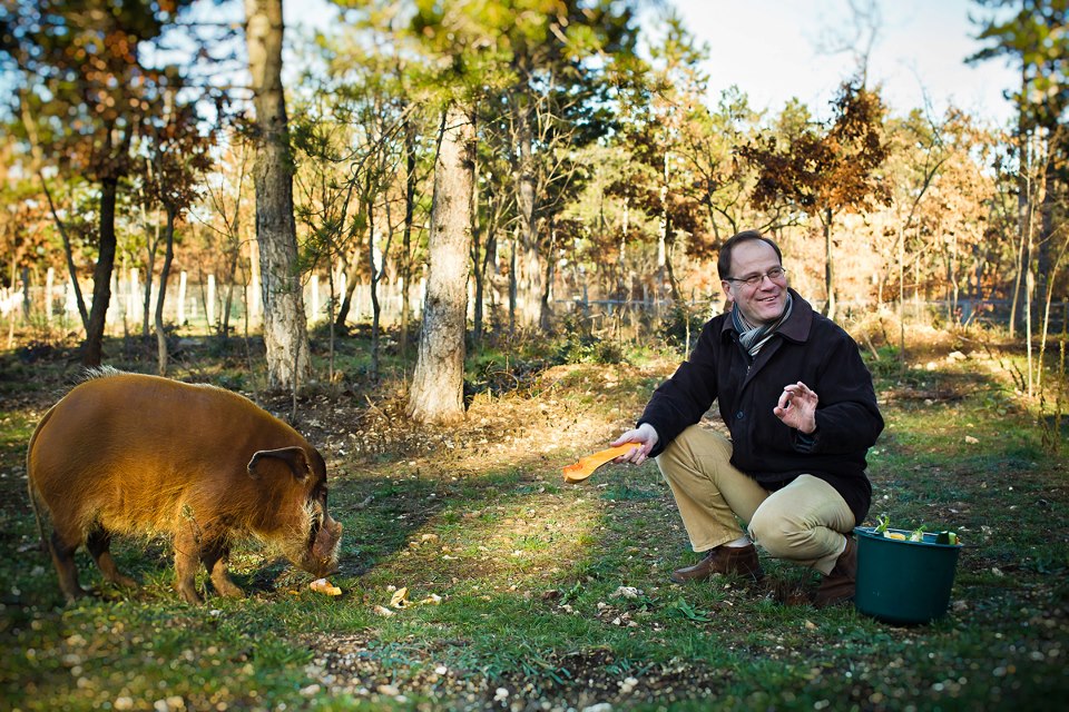 Navracsics Tibor tökkel eteti örökbefogadott malacát