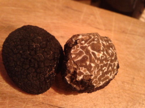 Illustration for article titled A világ legdrágább koleszos büdöszoknijának nyomában