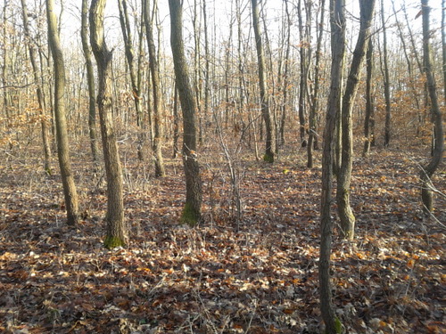 Illustration for article titled A világ legdrágább koleszos büdöszoknijának nyomában