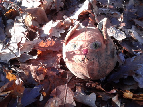 Illustration for article titled A világ legdrágább koleszos büdöszoknijának nyomában