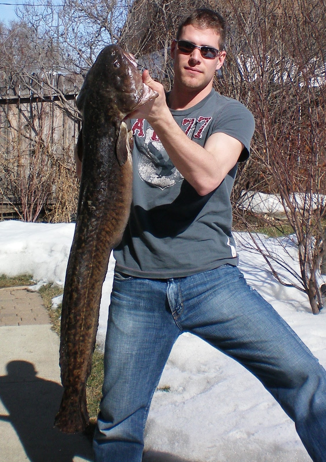 Győzött a horgászlobbi, a menyhal lett az év hala