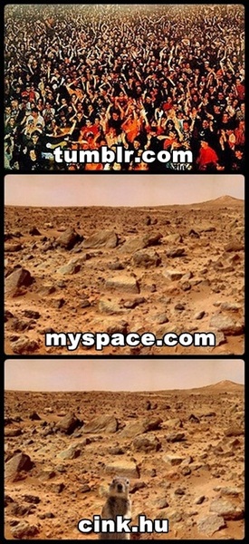 Illustration for article titled Izzadtságszagú, görcsös, cinkes - a Cink.hu első napja