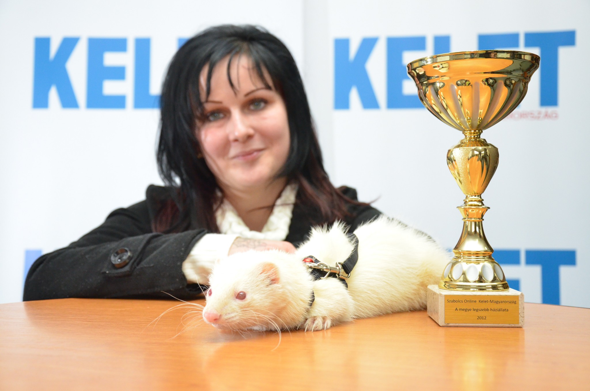 Adolf, a vadászgörény lett a legszebb a szabolcsi állatszépségversenyen