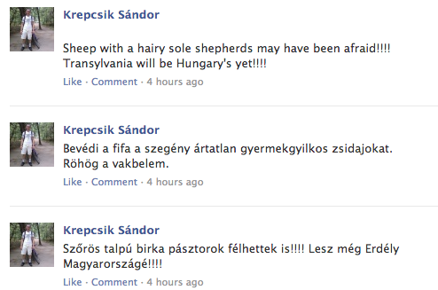 Illustration for article titled Zsidózó magyarok a FIFA Facebookján