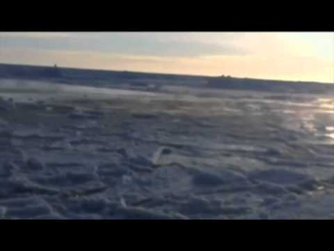 Ez történt a világban éjjel: Kiszabadították a bálnákat!