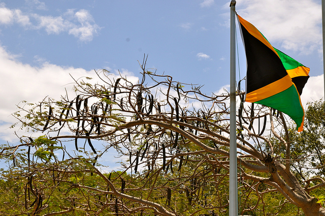 Ezek a szörnyű dolgok történtek amíg buliztál