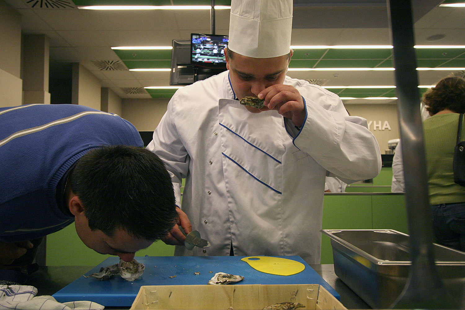 Illustration for article titled Jelentés az aranyketrecből: Személyesen mérkőztem meg a magyar osztriganyitogató elittel