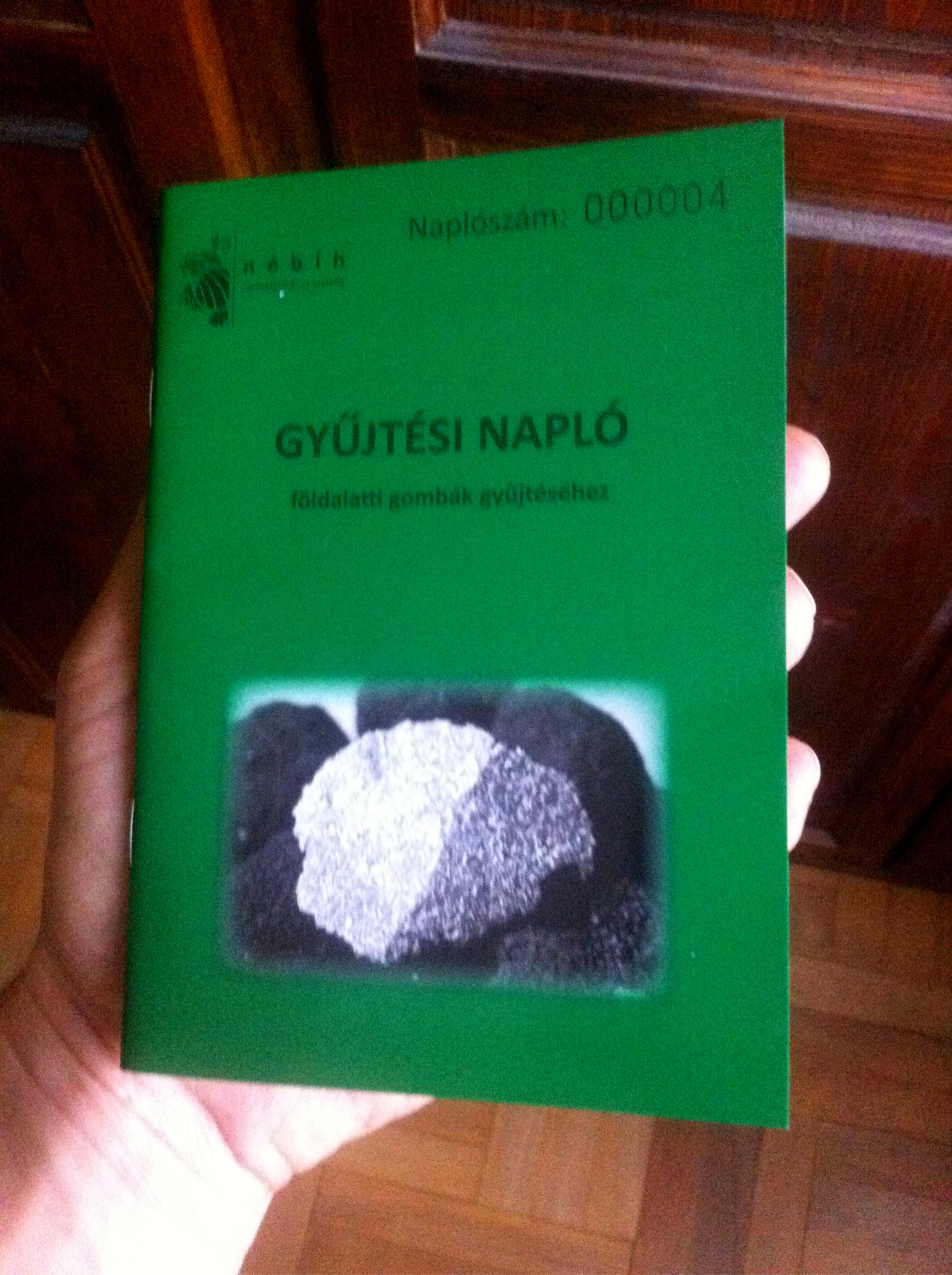 Magyarország a talajszint alatt is abszurd