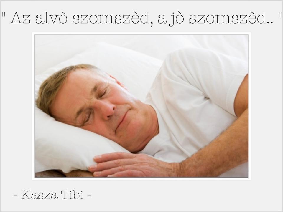 Illustration for article titled A nap képe: Kasza Tibi egy játékos kismajommal a lába között