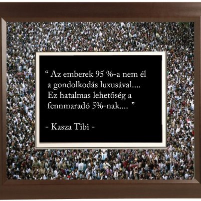 Illustration for article titled A nap képe: Kasza Tibi egy játékos kismajommal a lába között