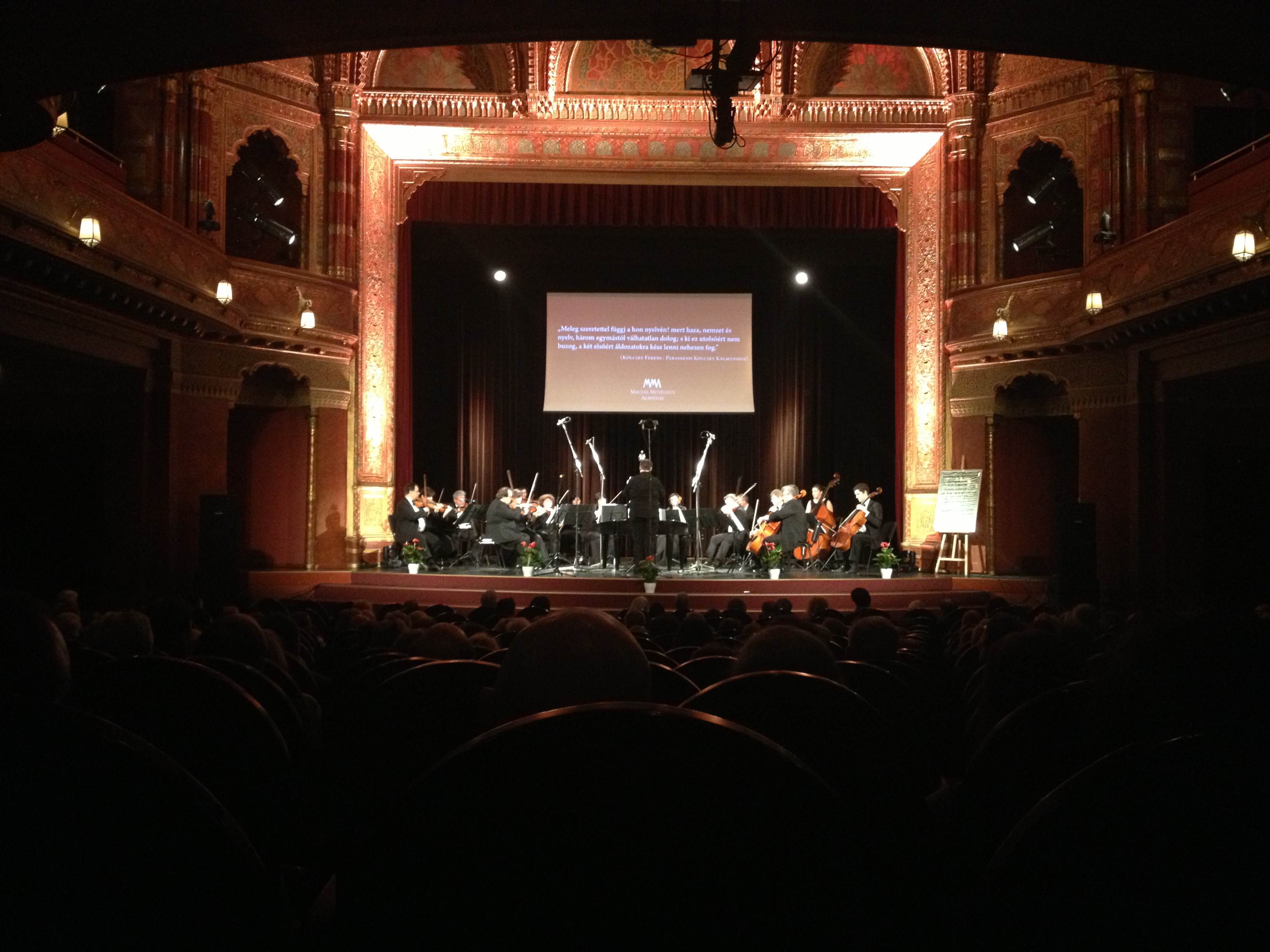 Illustration for article titled Így ünnepelte Fekete György és akadémiája a Magyar Kultúra Napját