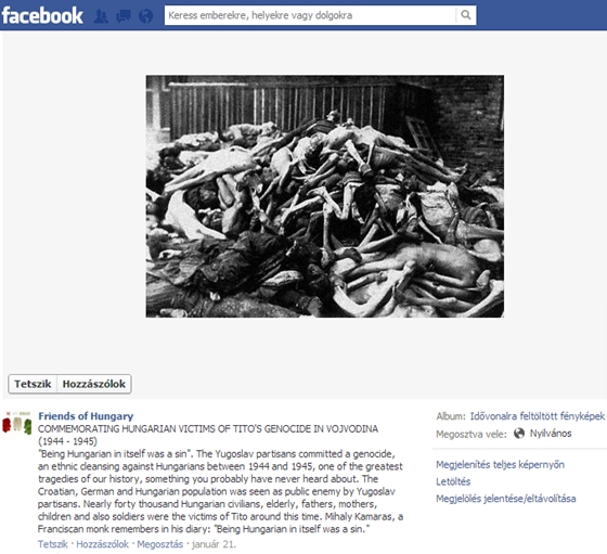 Megint bénázik a Friends of Hungary