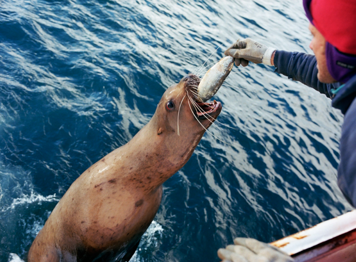 Napi klassz nézegetnivaló: egy halász mindennapjai a Bering tengeren és máshol