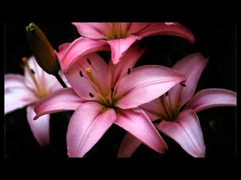 L. Simon László összeomlott, cáfolja, amit a fél magyar sajtónak elmondott másfél órája