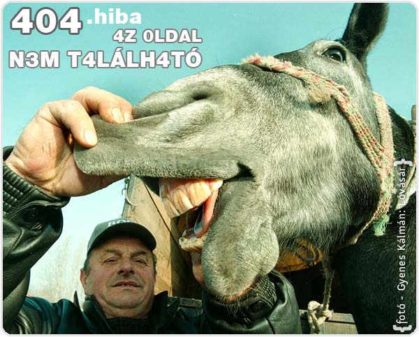 Eltüntette a Kisalföld és a Délmagyarország a pedofil cikket