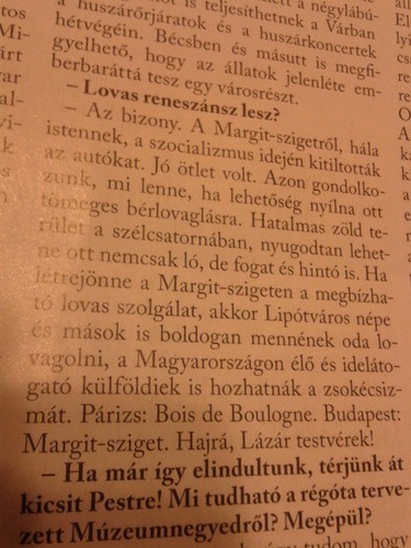 Kerényi Imre rákattant a lovakra, ha győz a Fidesz, a főváros közepe tele lesz ménesekkel