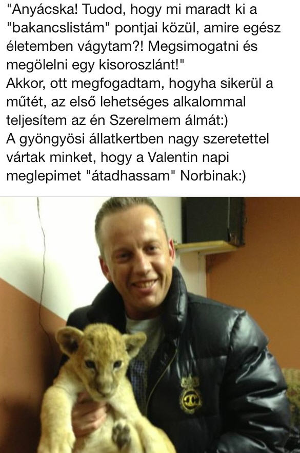 Illustration for article titled Cink szív Facebook: VV Éva zsidózik, Berki úton Amerika felé, Tvrtko egy éve a Mammut lépcsőjén