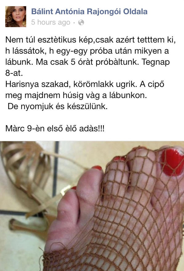 Illustration for article titled Cink szív Facebook: VV Éva zsidózik, Berki úton Amerika felé, Tvrtko egy éve a Mammut lépcsőjén