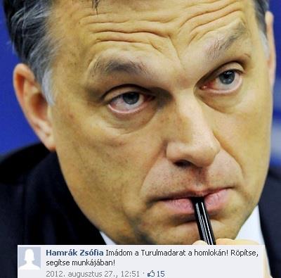 Turulmadár Orbán Viktor homlokán?