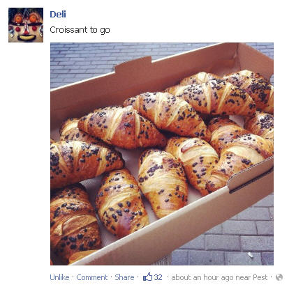 Illustration for article titled Cink szív Facebook: Hummeres brékes, Cicciolina néz, és Kasza Tibi terhes