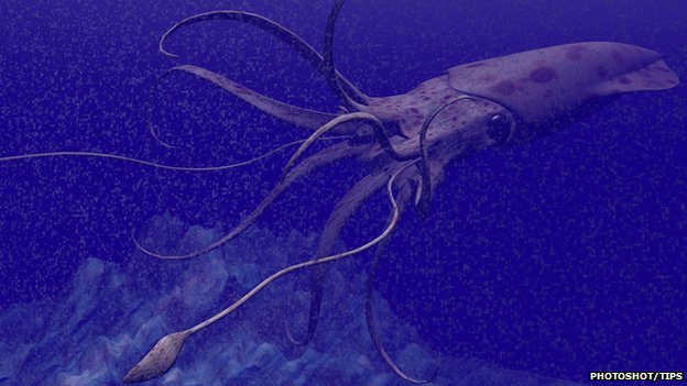 Senki se szívózzon óriás tintahallal!