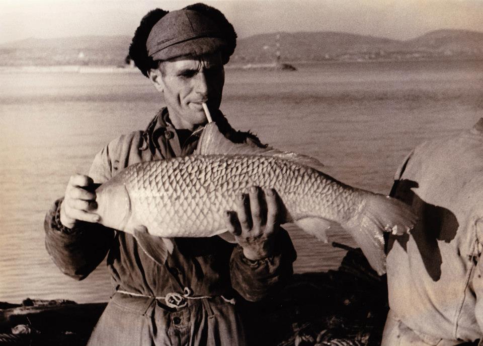 Remek nézegetnivaló of the day: Így halásztak 50 éve a Balatonon