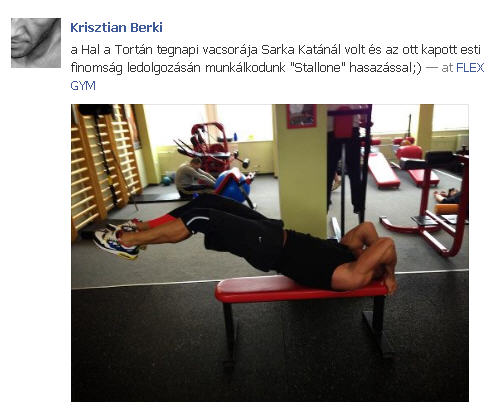 Illustration for article titled Cink szív Facebook: Playboy Mansionben is nőként, terpesz, és behajtók