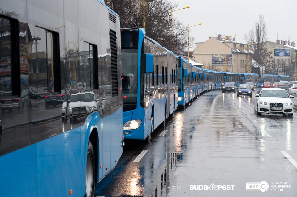 Bilikék, de igen dögös buszkígyó érkezett Budapestre