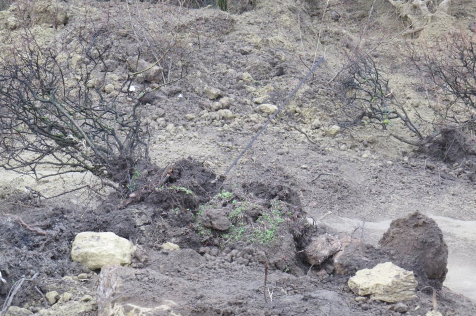 Leomlott a fonyódi magaspart (updatelve)