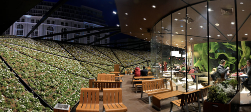 Illustration for article titled Grúziában épült fel a legdögösebb McDonalds a világon