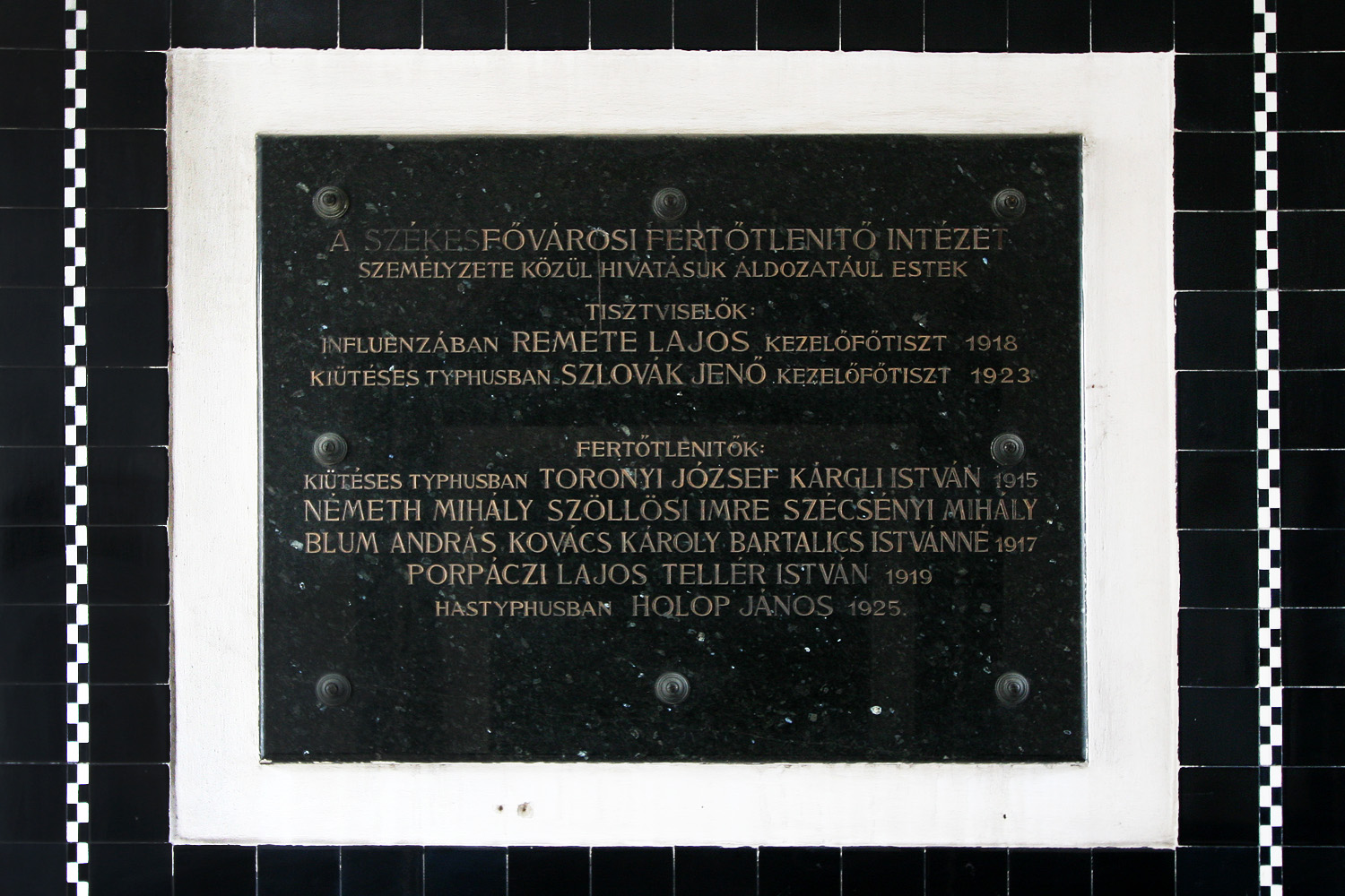 Illustration for article titled A gépek, amik megállították a tífuszt Budapesten