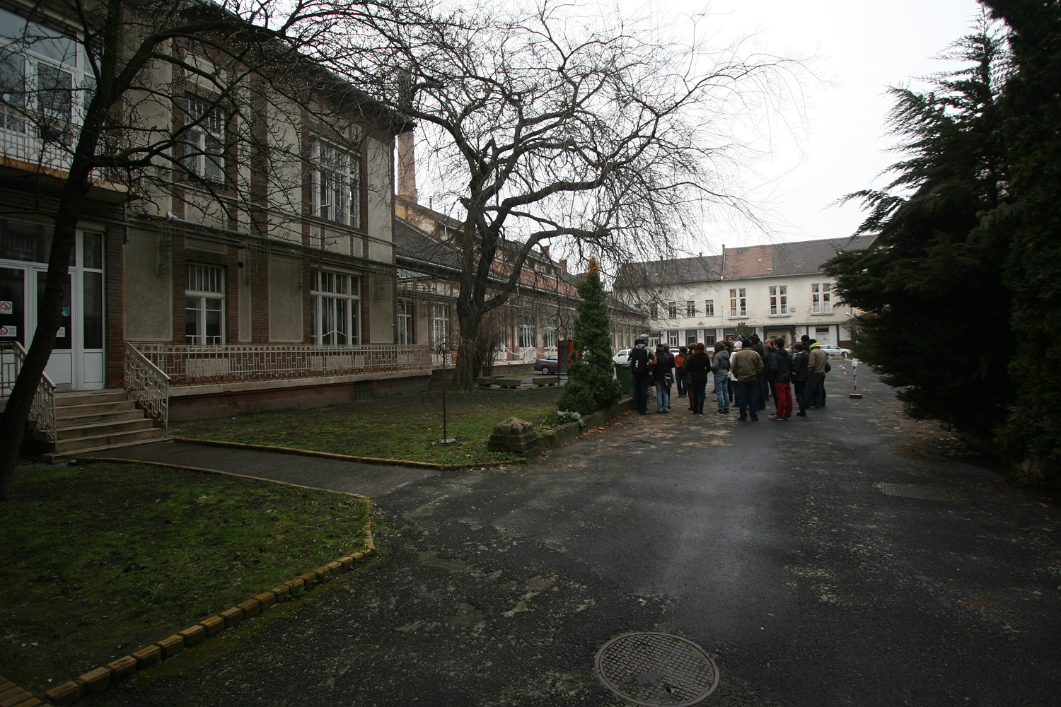 Illustration for article titled A gépek, amik megállították a tífuszt Budapesten