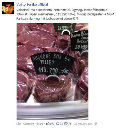 Illustration for article titled Cink szív Facebook: Szabó Zsófi kifeszül, Ogli G kakukktojással, és Tvrtko sapka nélkül