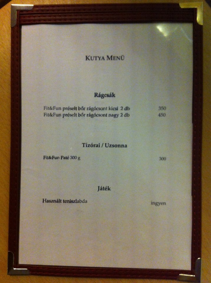 Élesedik a harc a budapesti állatos kávézók között