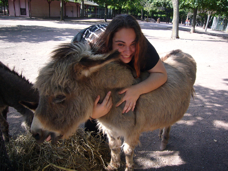 Illustration for article titled Élesedik a harc a budapesti állatos kávézók között