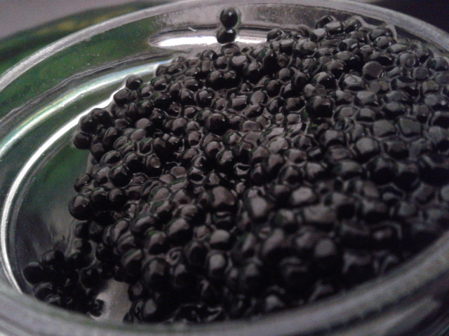 Mint Lázár János frissen belőtt haja - Kipróbáltuk a vegetáriánus kaviárt