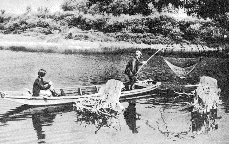 Mindszent és Csongrád között beltiltották a pecát és a halászatot