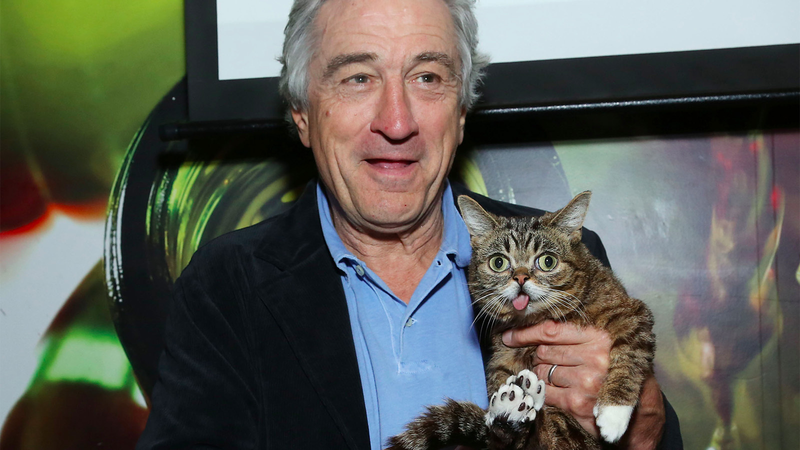 Irgalmatlan cukiság: Robert De Niro és a világ legaranyosabb macskája