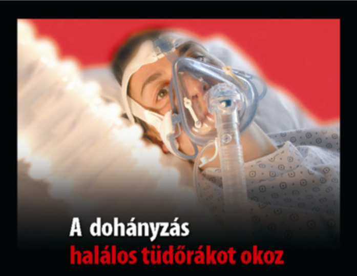 Kormánypárti politkusoké a miskolci trafikok negyede